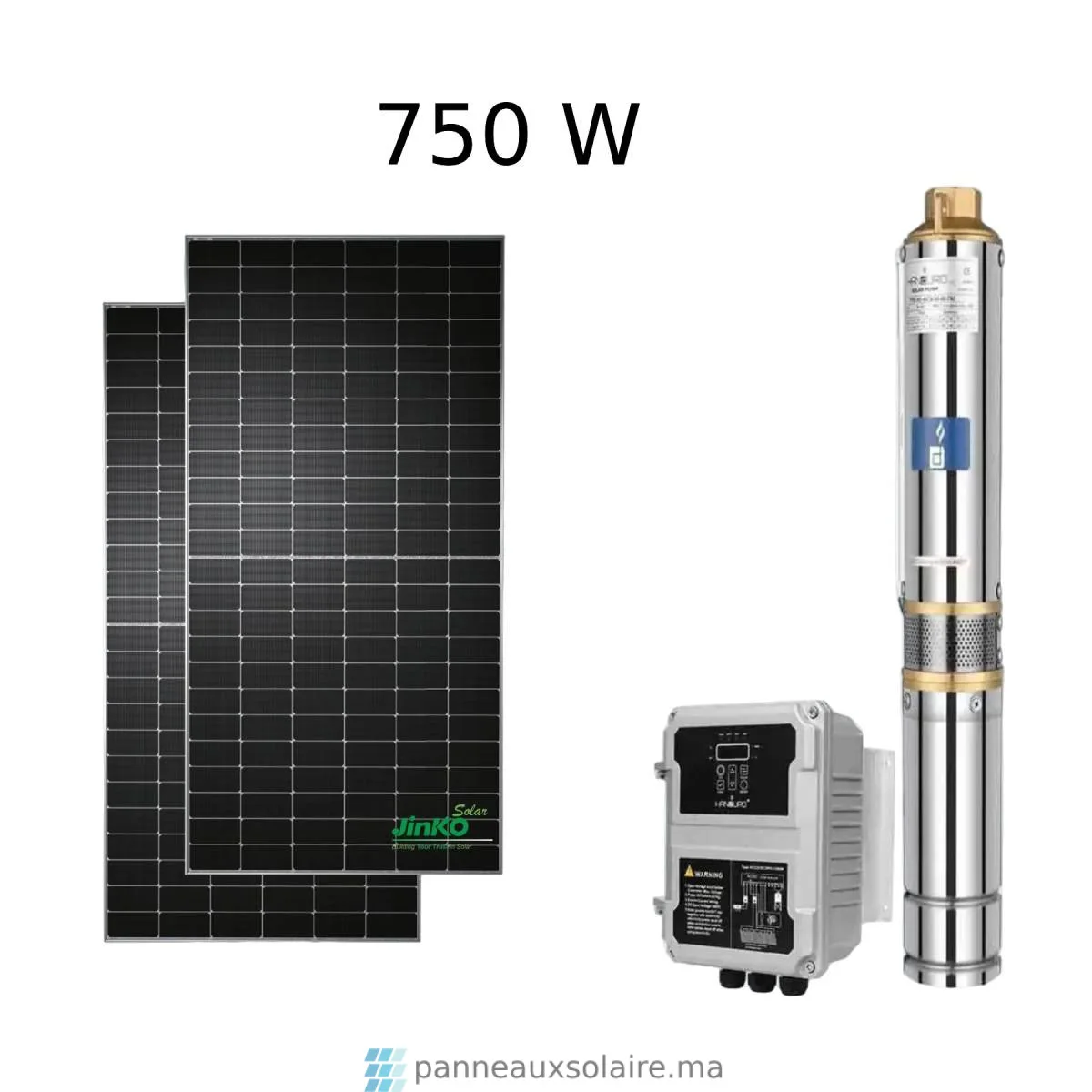 Kit Pompe DC AC 750W avec contrôleur et panneaux
