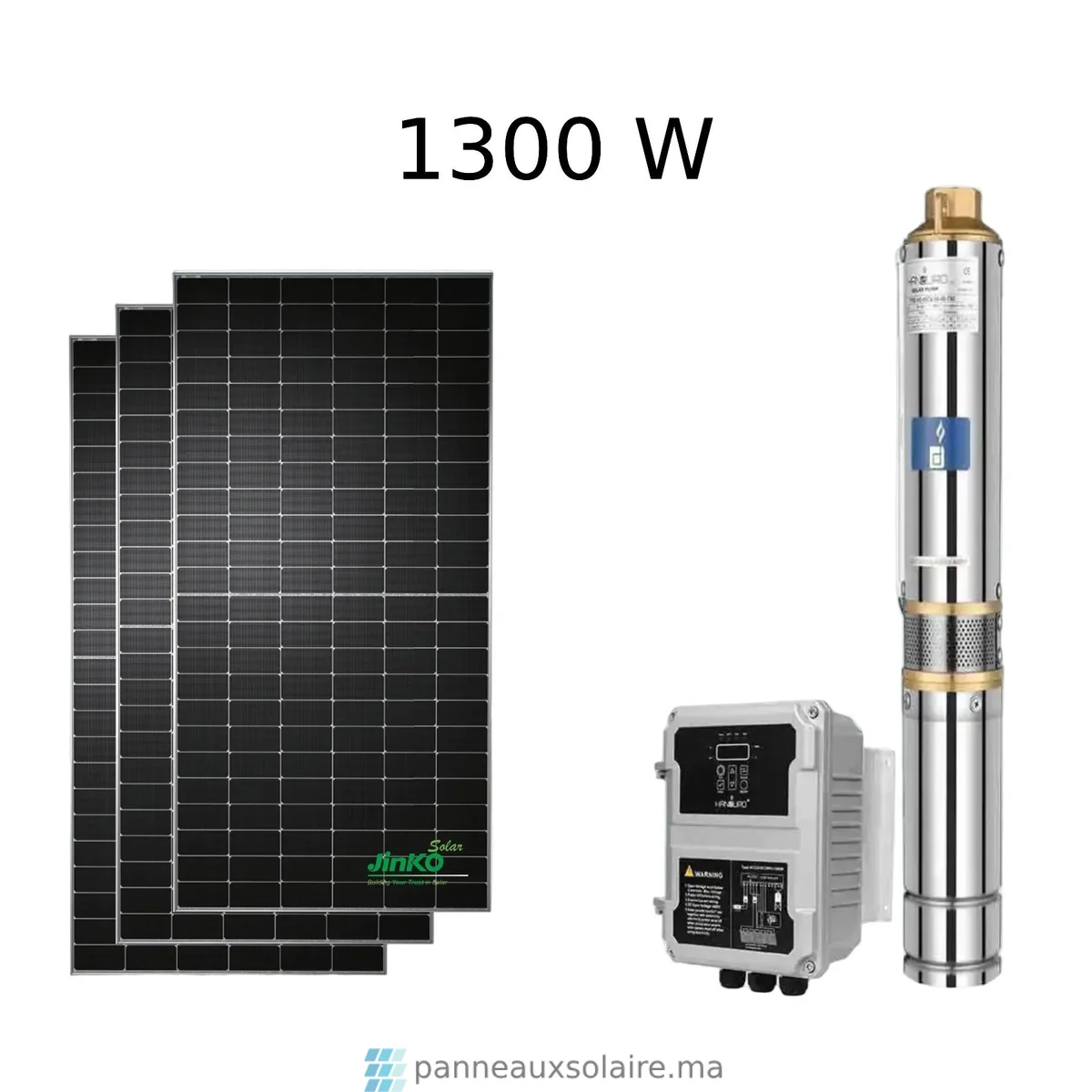 Kit Pompe DC AC 1300W avec contrôleur et panneaux