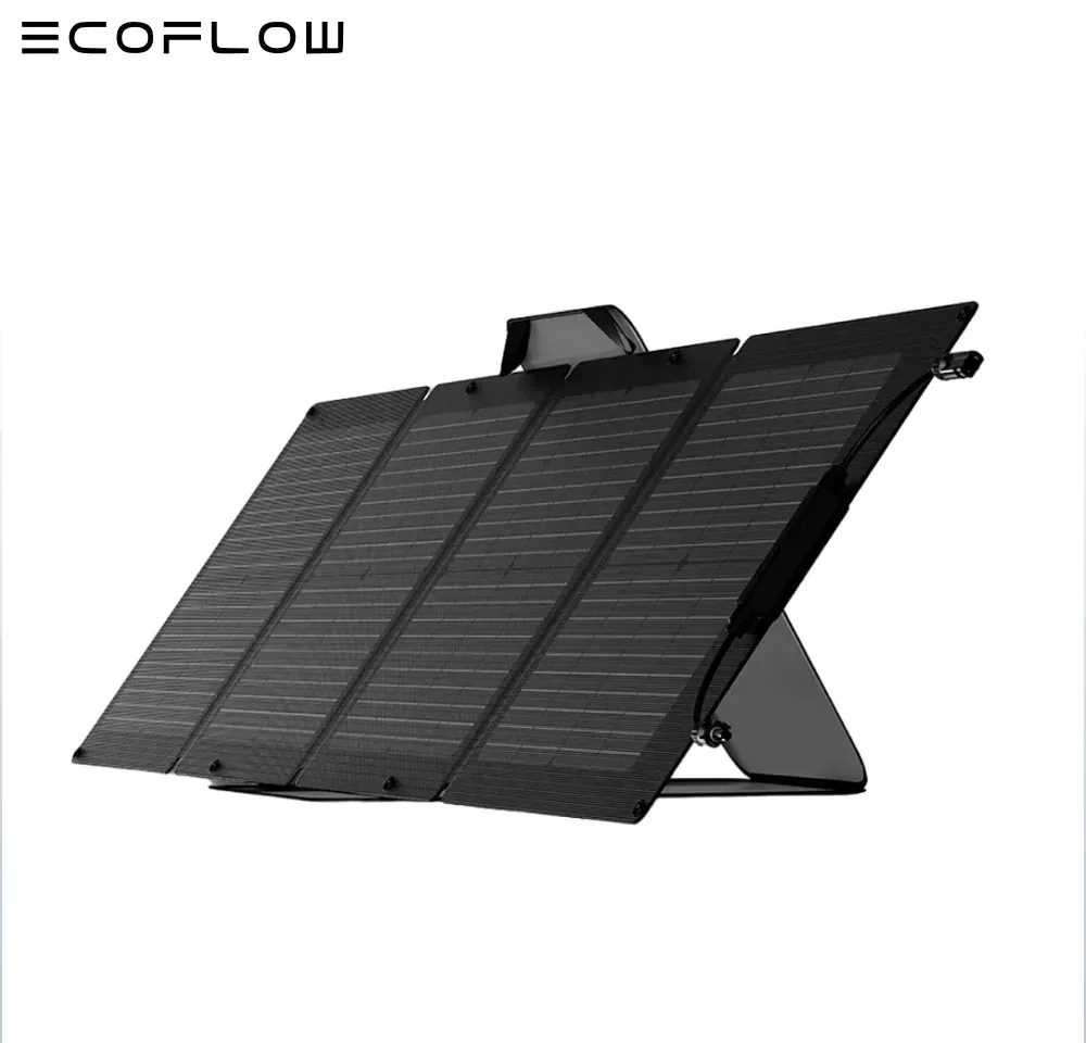 Panneau solaire portable EcoFlow 110W (MC4)