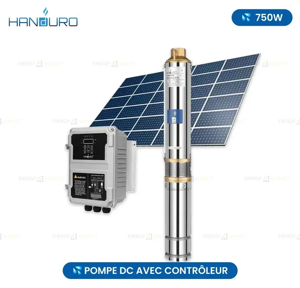 Pompe DC avec contrôleur 750W - HANDURO